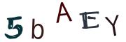 Image CAPTCHA