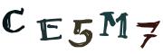 图形验证