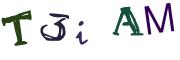 图形验证