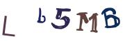 图形验证