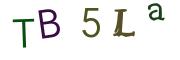 图形验证