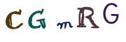 图形验证