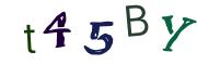 图形验证