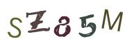 图形验证