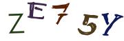 图形验证