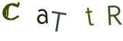 图形验证