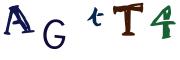 图形验证