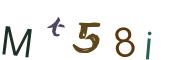 图形验证