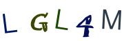 图形验证